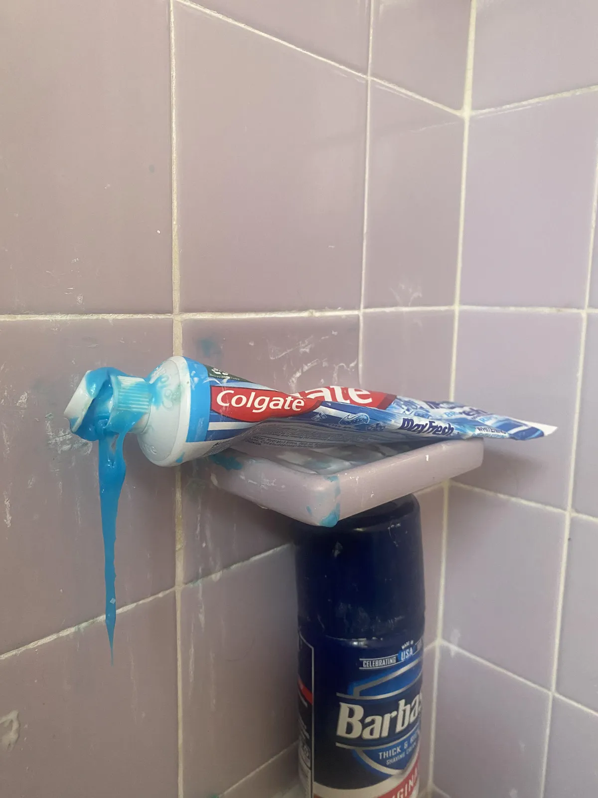 What I Wake Up To In The Morning