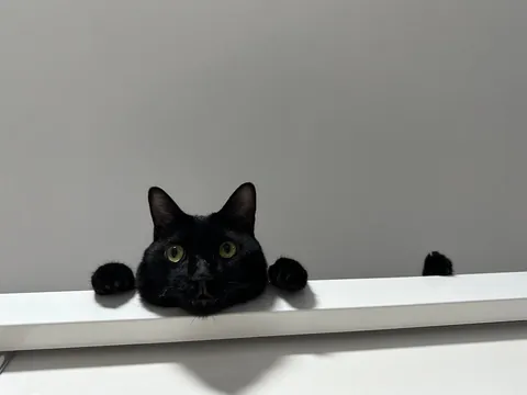 No thoughts, just void