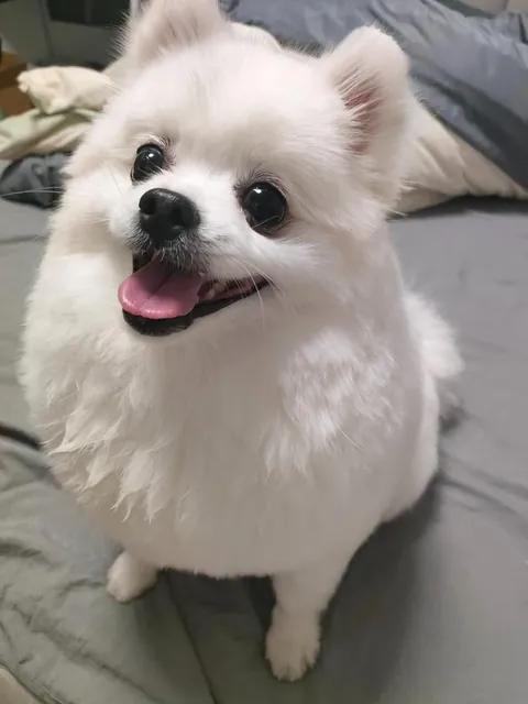 The last thing you eat is what I naming him