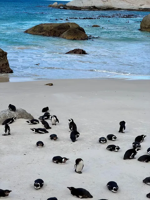 Cape Town is my favorite new city!