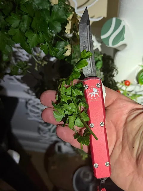 [homemade] sub sandwich.