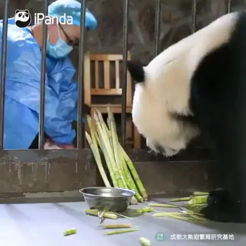 A mother's love is eternal