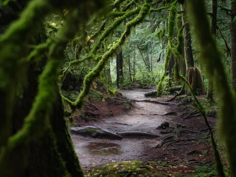 North Shore, BC, Canada [OC][1900x1425]