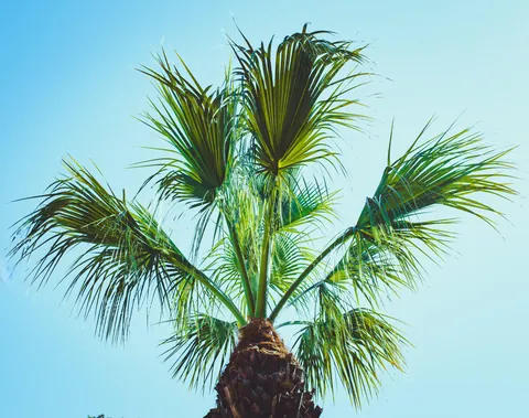 A couple of days in Albufeira