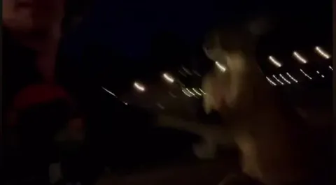 This is how you deal with an agressive kangaroo