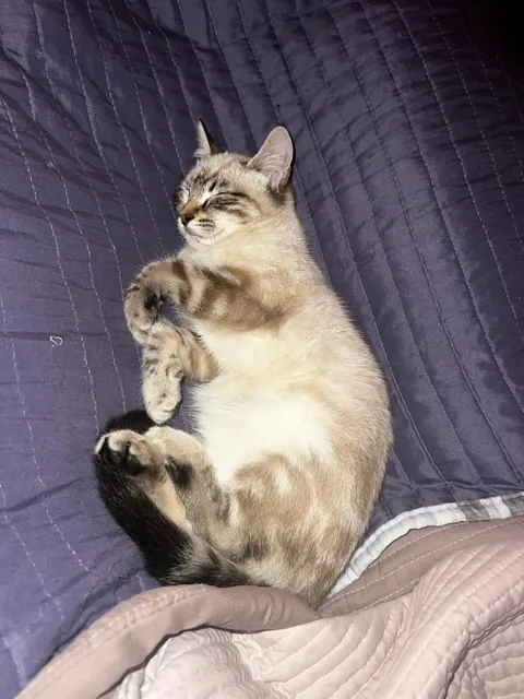 The way he sleeps is so cute!!