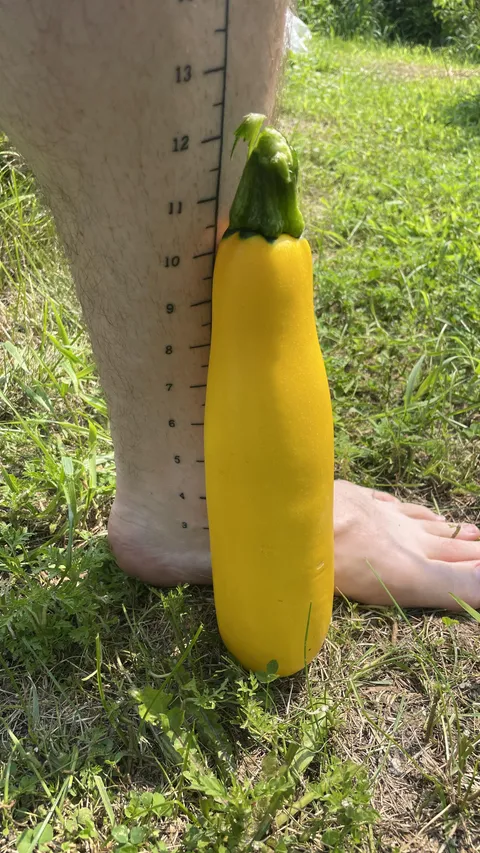Recently got a measuring line tattoo on my leg and have measured my first zucchini of the season