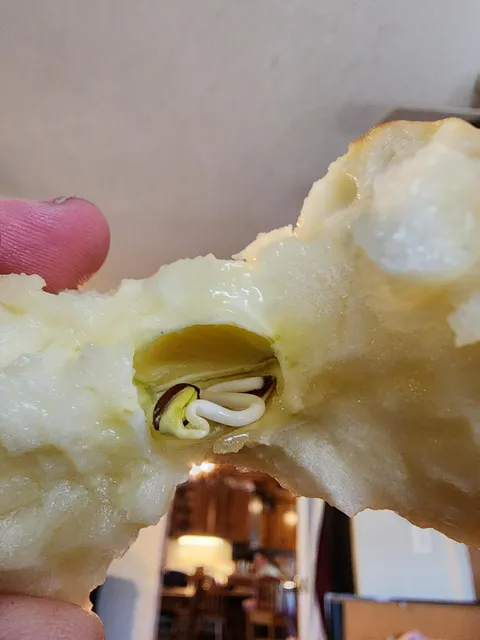 My son bit into this apple and it has a germinating seed. 