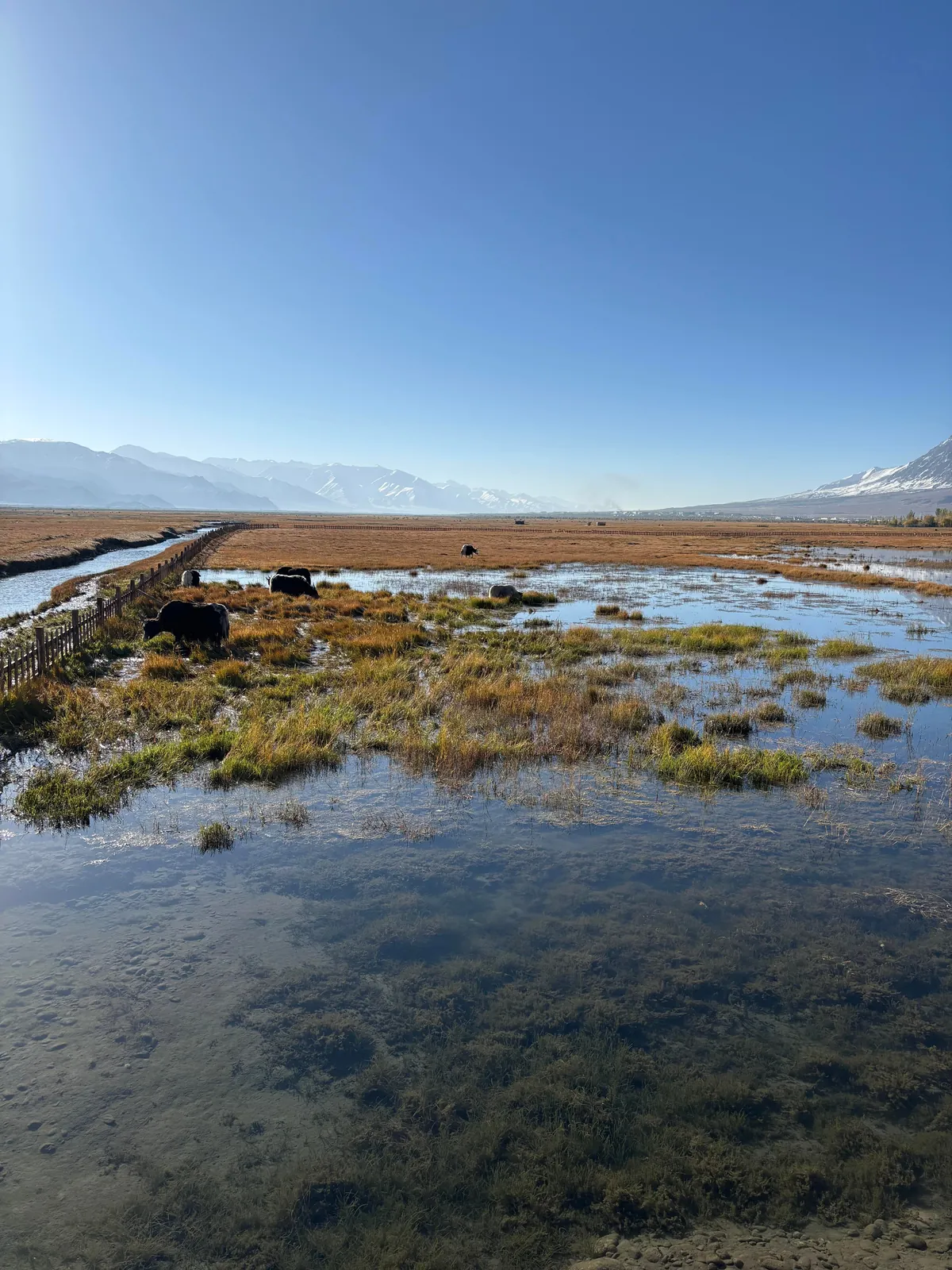 10 days in Xinjiang (Western China)