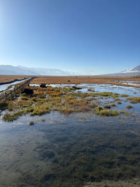10 days in Xinjiang (Western China)