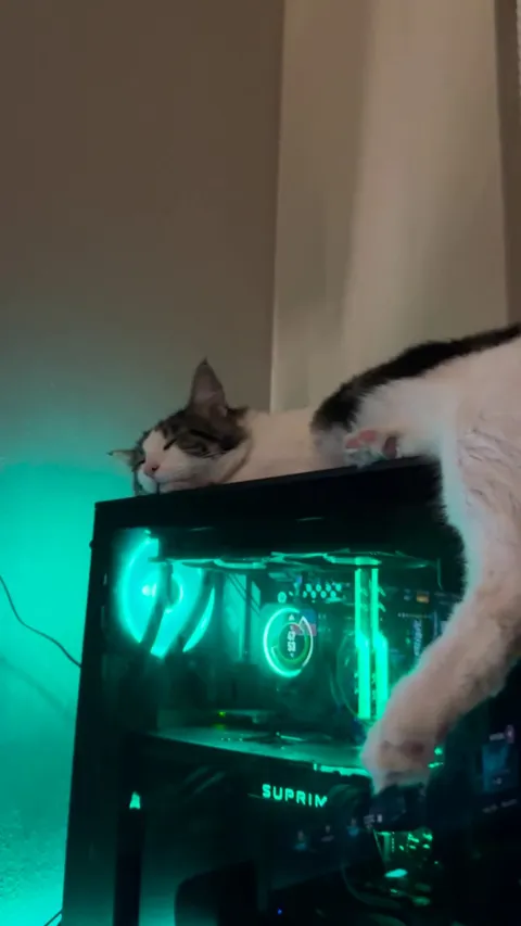 My pc turned off my car send help 