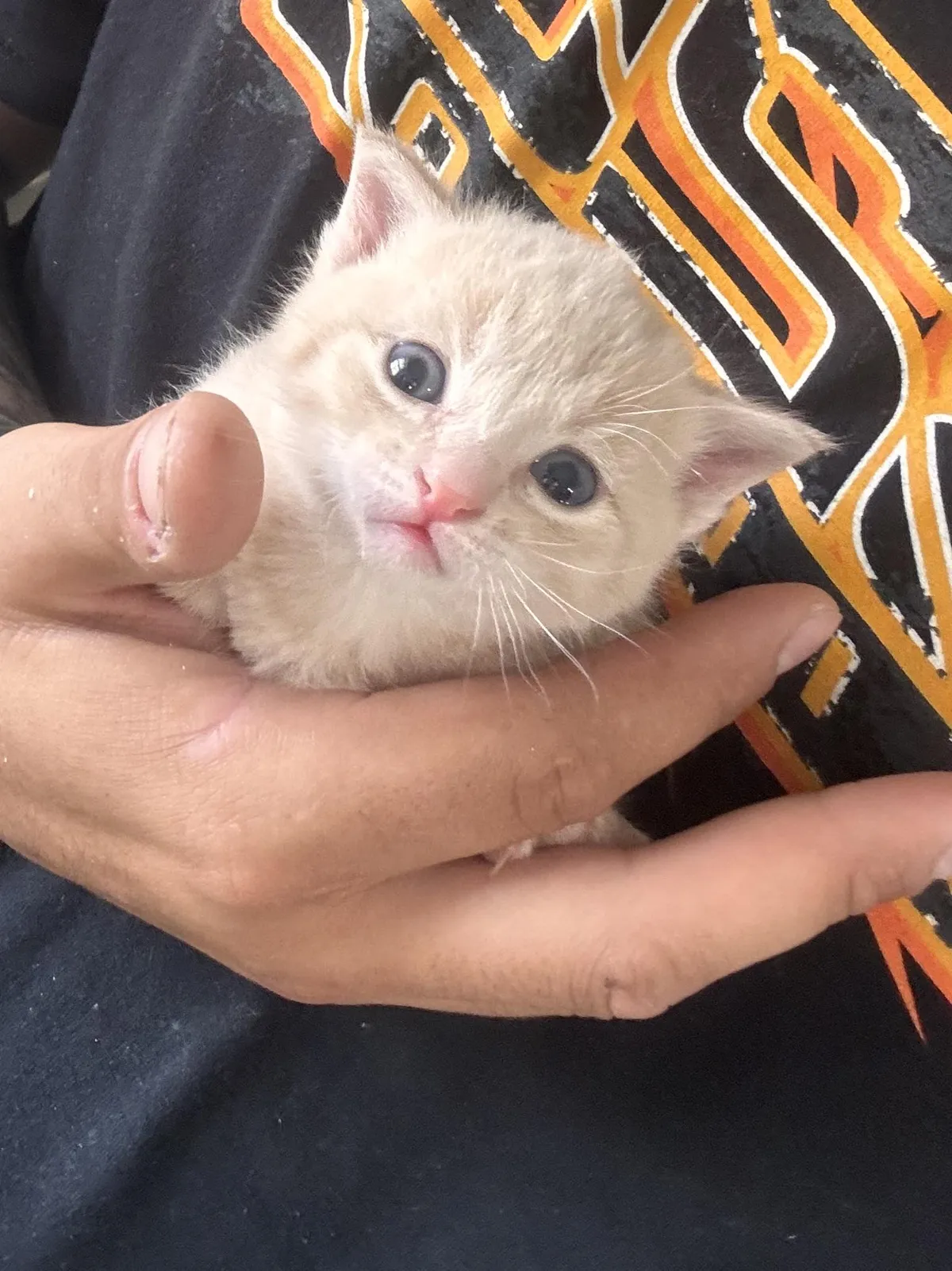 What should his name be?