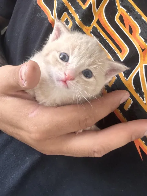 What should his name be?