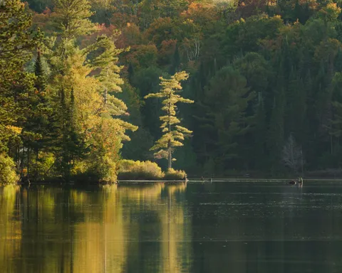 The beginning of fall, Algonquin Park, Canada (2700 × 2160)[OC]