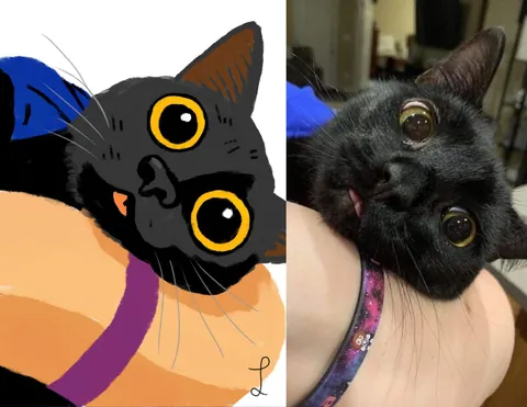 Want a drawing? Upload a photo of your cat and I'll draw it with lots of love!