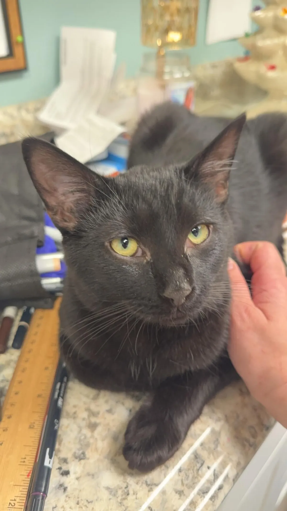 The most handsome man