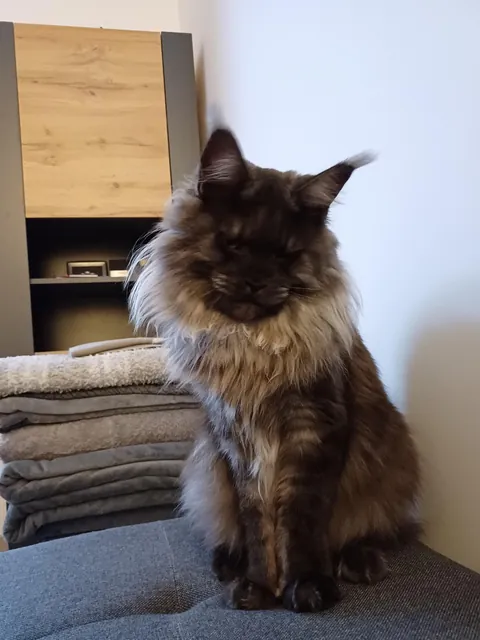 Hi reddit, it's Théoden. Did not see you for a long time