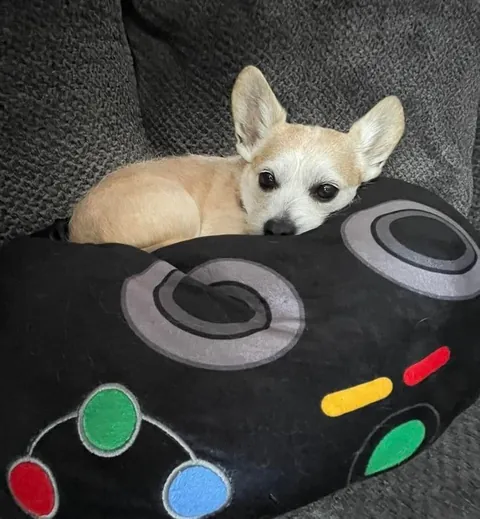 I wouldn’t be here if it wasn’t for him