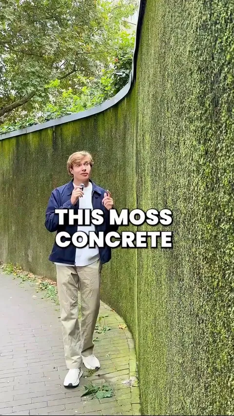 Moss which doesn't affect your building but cools it