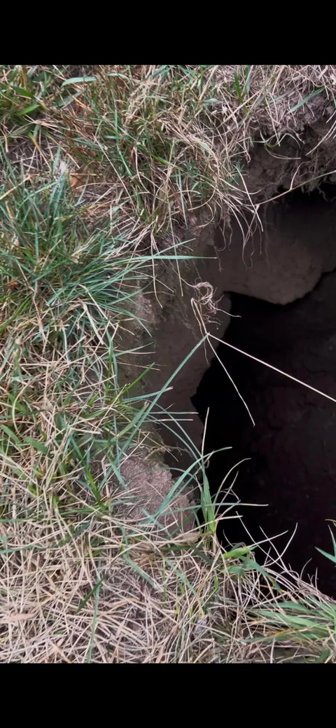 Found a sinkhole at work, found a bunker inside the sinkhole.