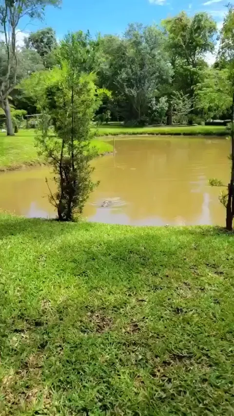 Dude recording could not believe his eyes .