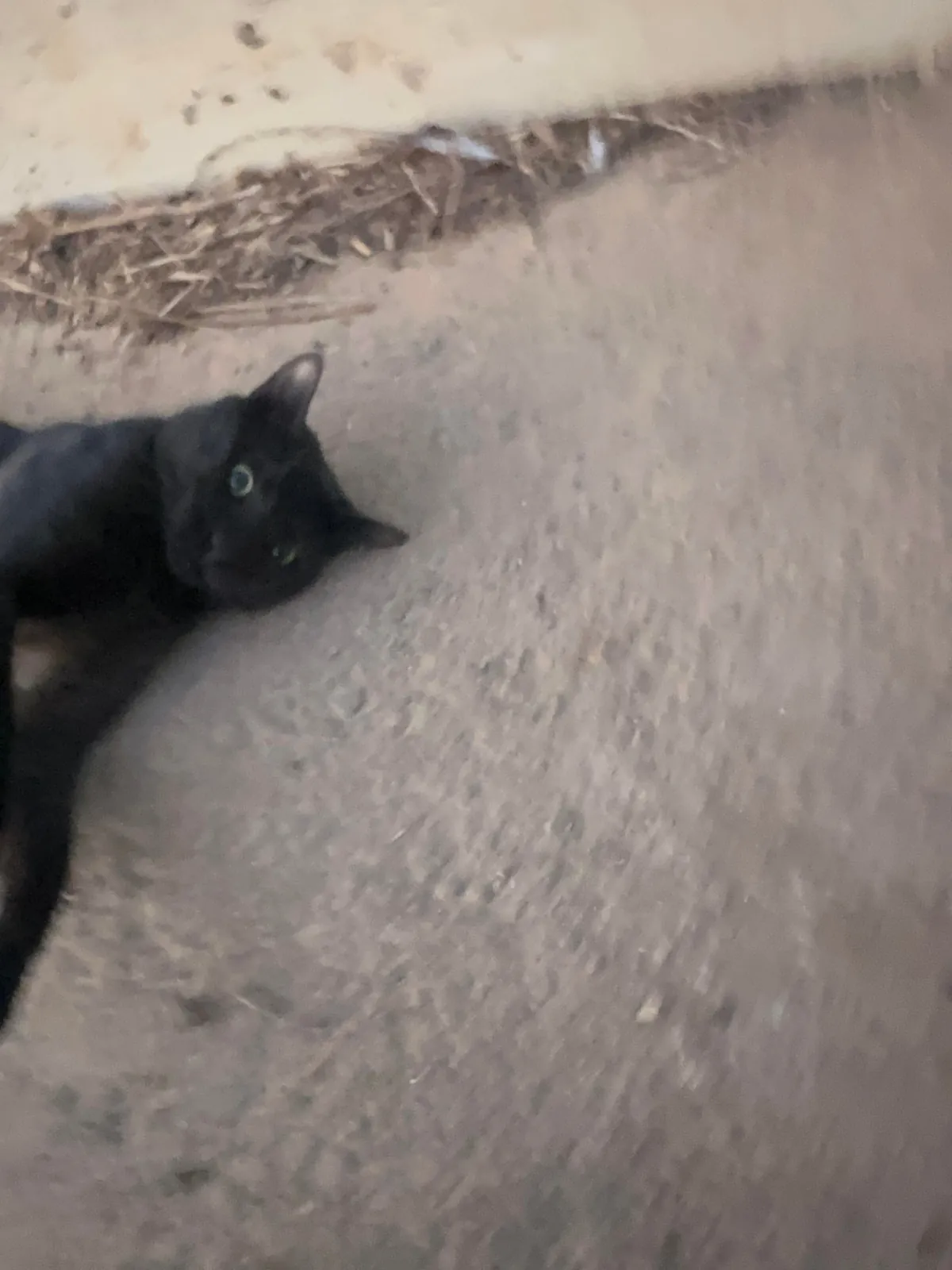 I think I really fucked up :(