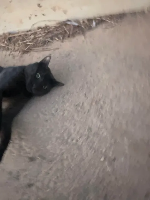 I think I really fucked up :(