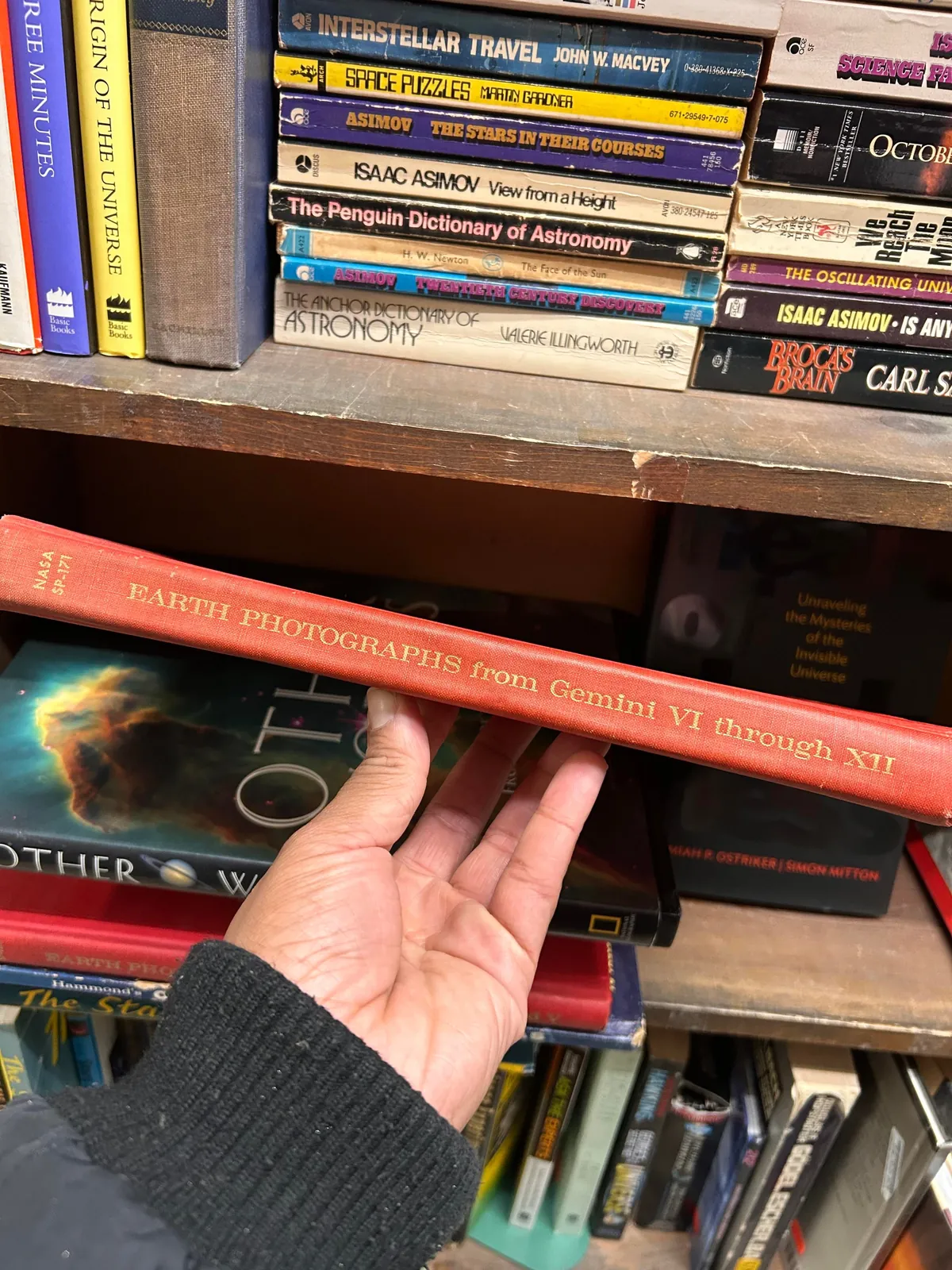 At the same bookstore right now. Found the sequel!