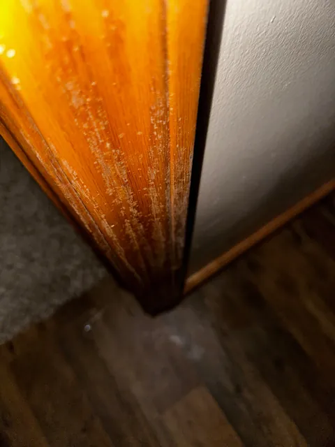 Moved into our “dream home” before closing… to discover it’s a moldy nightmare