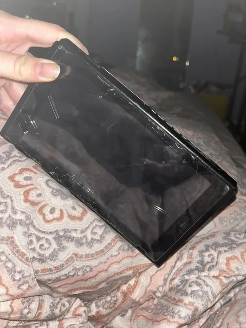 My boyfriend put my Nintendo Switch through the washing machine 