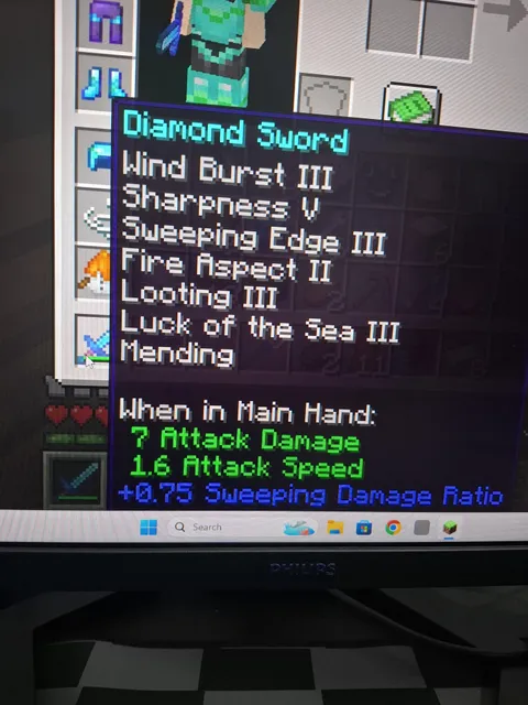 My 9 year old cousin got illegal enchantments on his sword