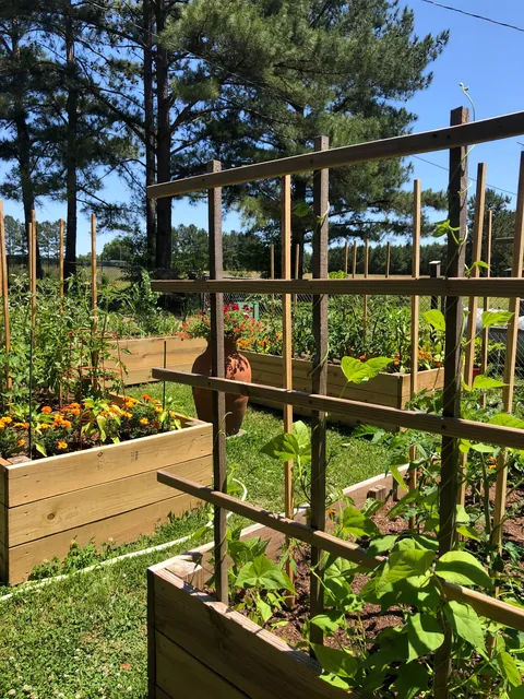 My Wife's Raised Bed Garden Over the Years