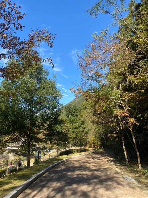 Didn't really plan to go for a walk, but my brain said just GO [Image]