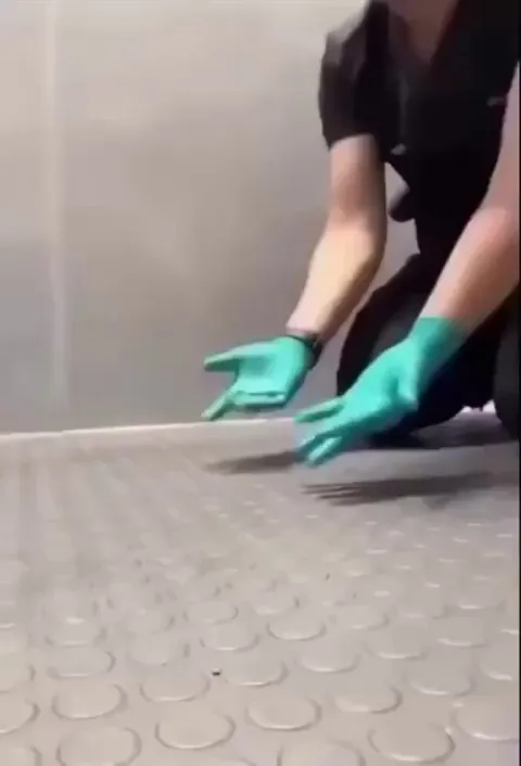 Penguin's reaction when his favorite vet comes to check him out. 🤗🤗