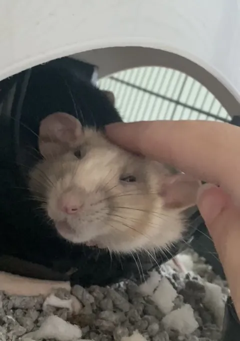 Does she mind this or am I scaring her?