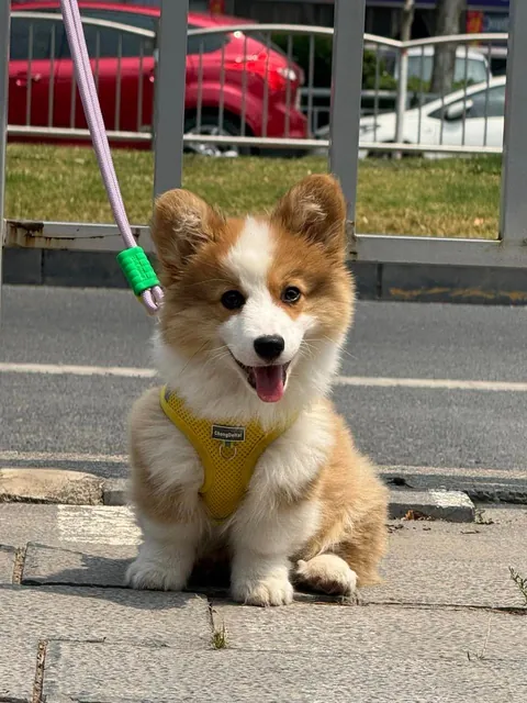 Still figuring out how walks work