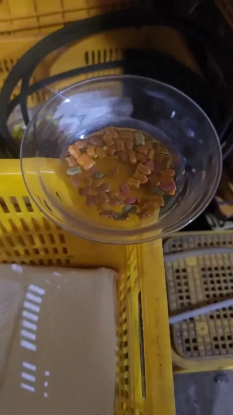 🐥: "Feed me with hands"