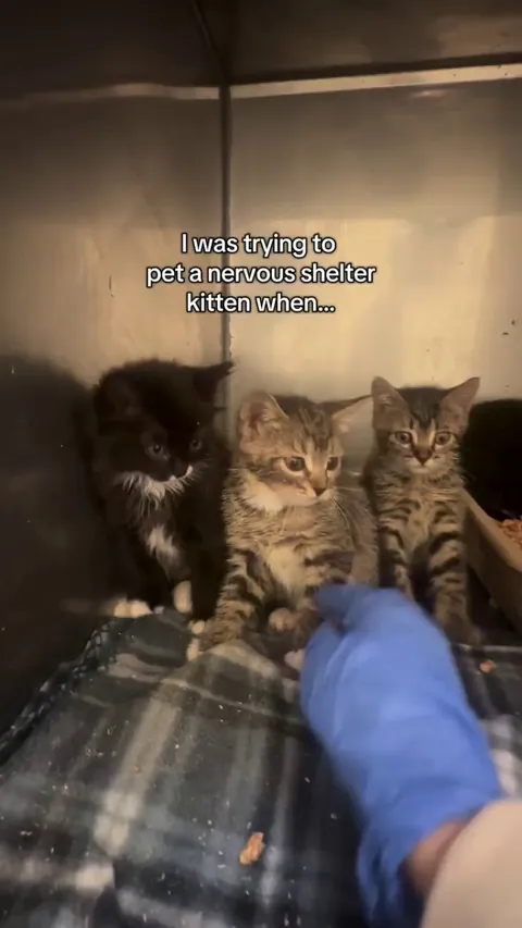 Bro sprinkled Holy Water🤣