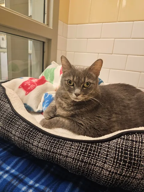 My new daughter, yes her eyes are just like that