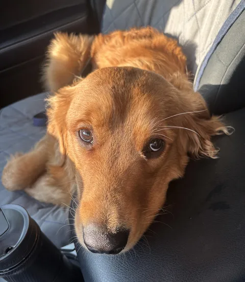 My road dog, Mr. Magoo!