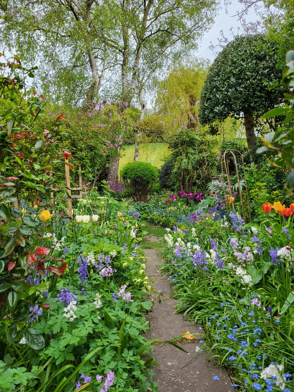 Everything is suddenly blooming!