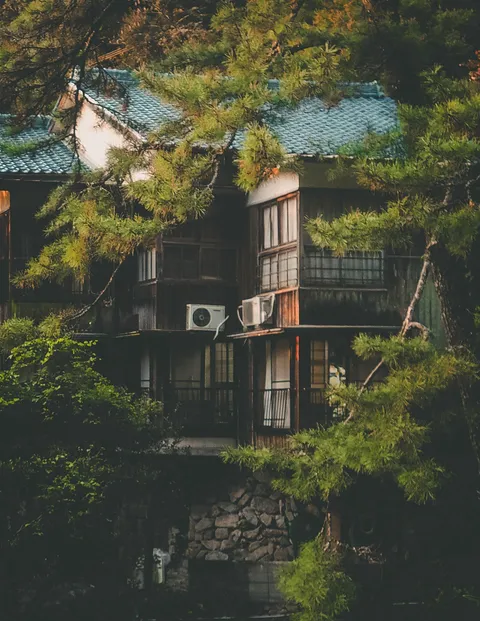 Framed by Forest: Rural Japan
