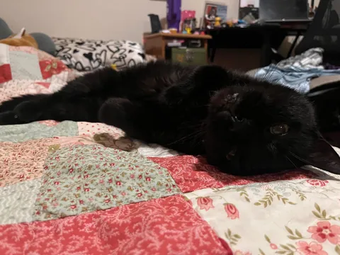 just wanted to share my 17 yr old boy today💜