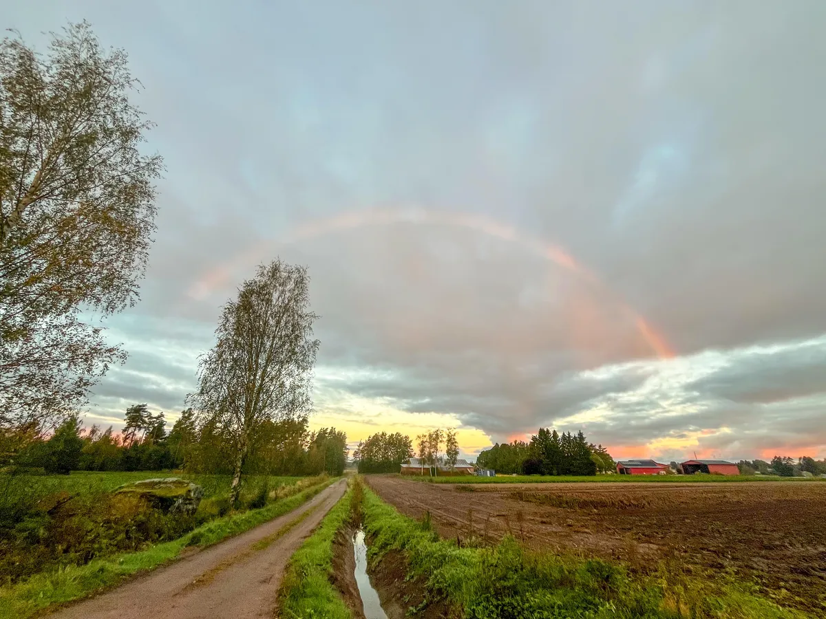 Good Morning r/Europe