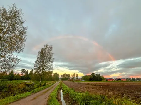 Good Morning r/Europe