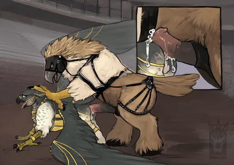 The arena (Torakuta) [MM]