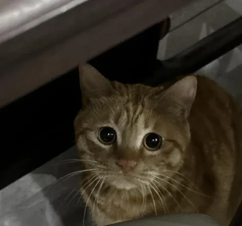 The real cruelty in this world