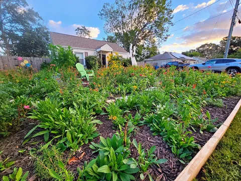 Pollinator garden UPDATE