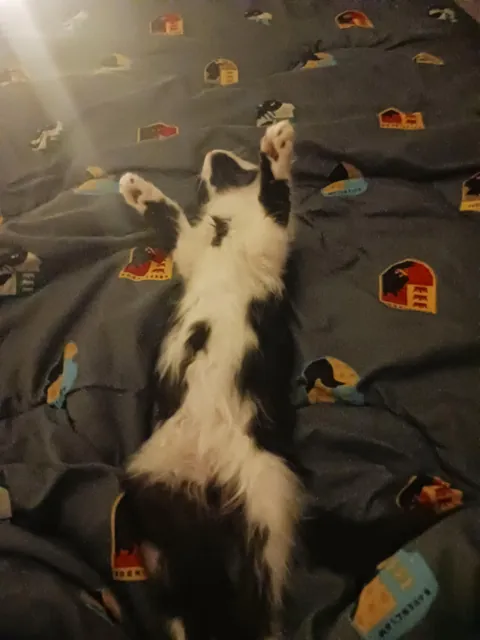 She might have a favourite sleeping position