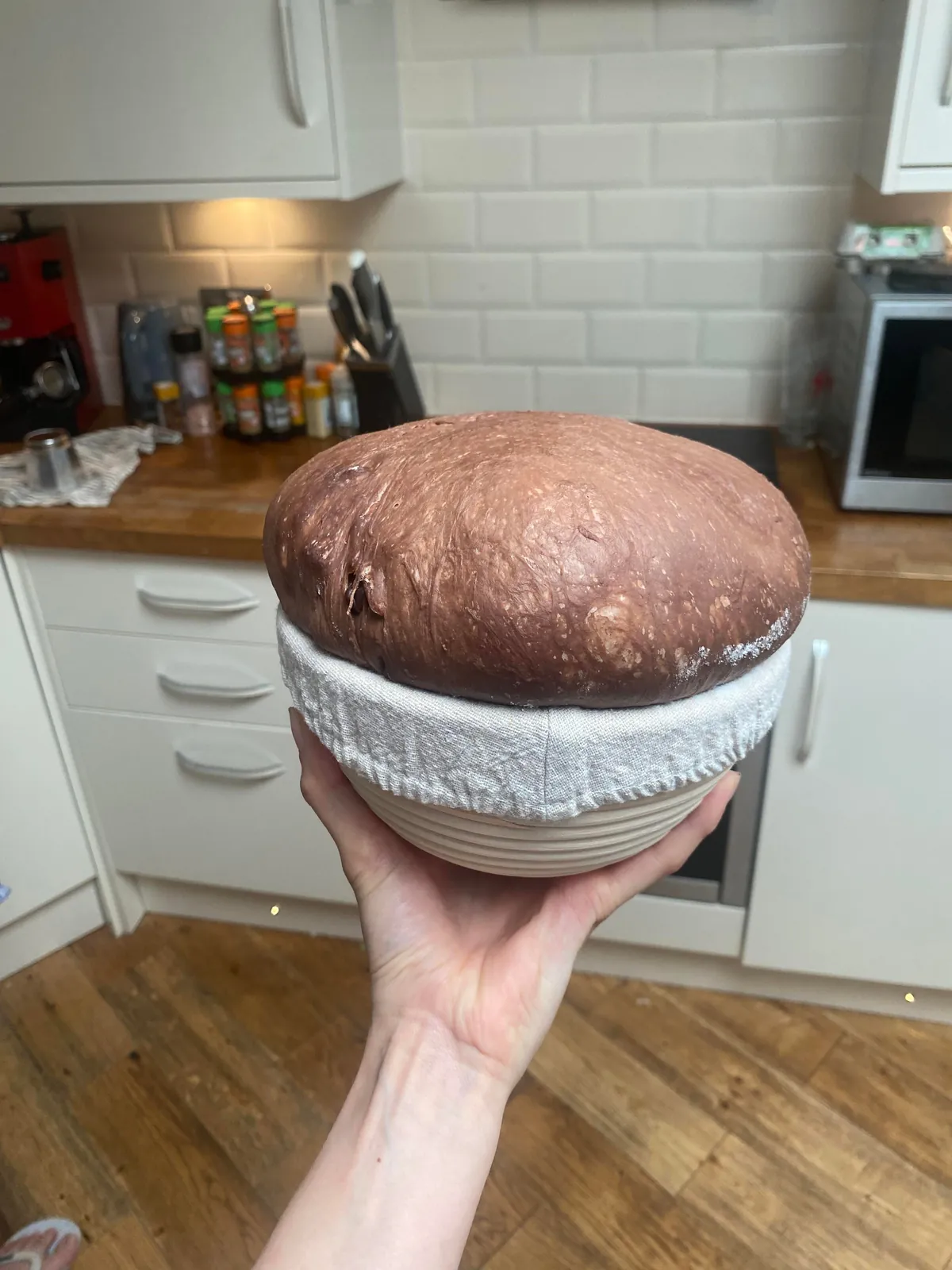 [homemade] chocolate sourdough w/ chocolate starter